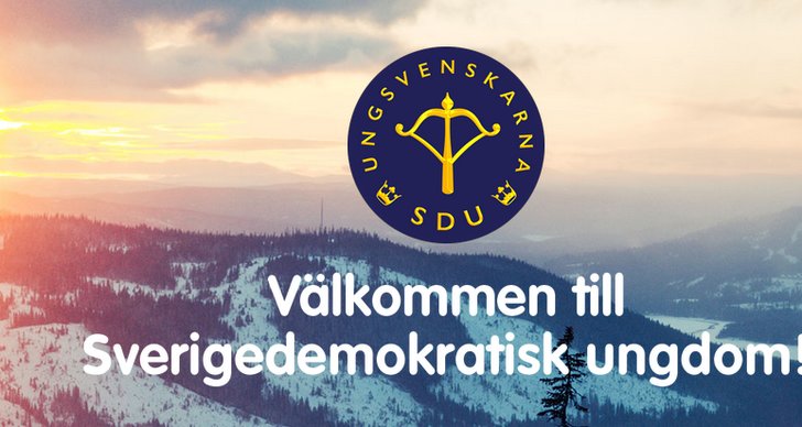 ungsvenskarna, Jessica Ohlson, Tobias Andersson, SDU, Sverigedemokraterna